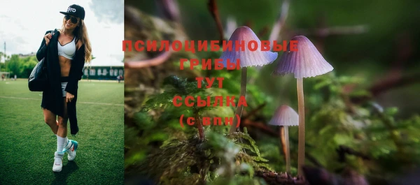 амфетамин Медвежьегорск