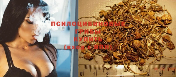 стафф Вязники