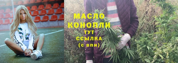 тгк Абаза