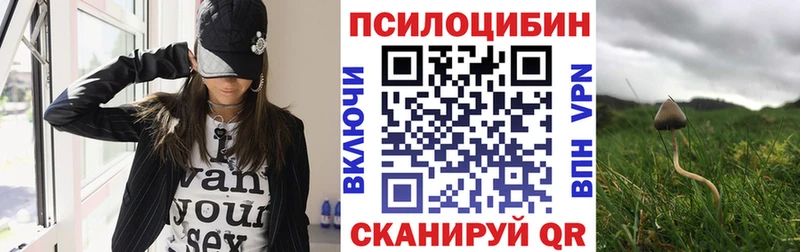 площадка клад Староминская Галлюциногенные грибы MAGIC MUSHROOMS закладки